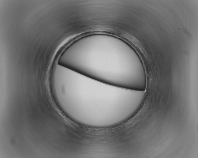 X0000115811024200911131038