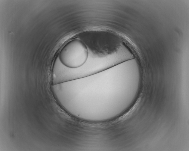 X0000115811025200911131038