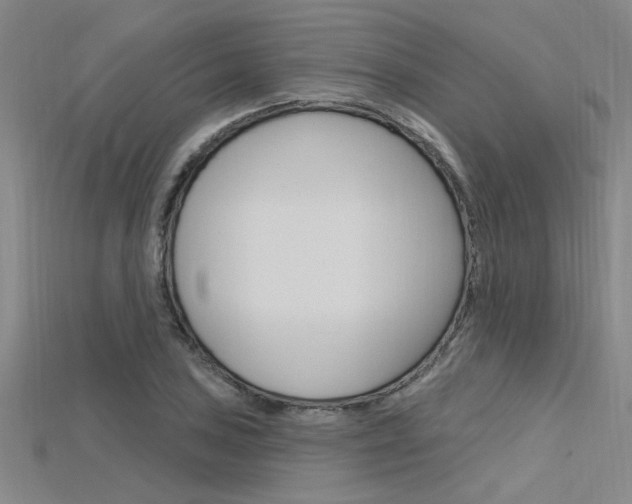X0000115811027200911131038