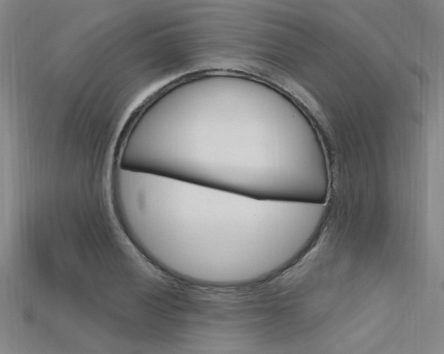 X0000115811028200911131038