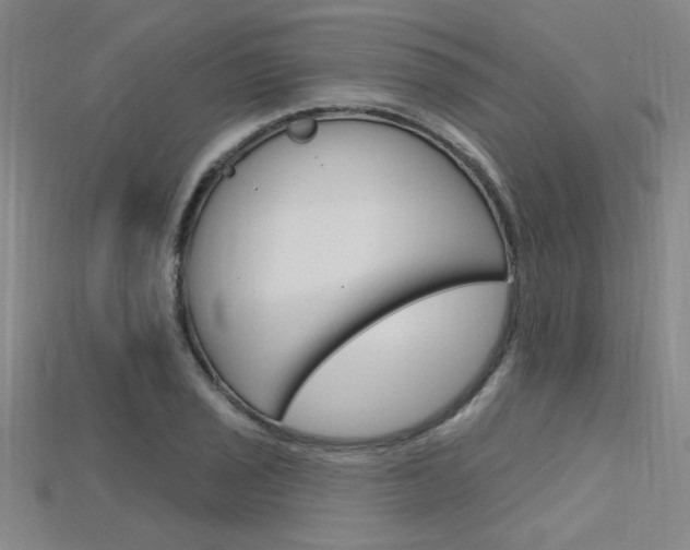 X0000115811029200911131038