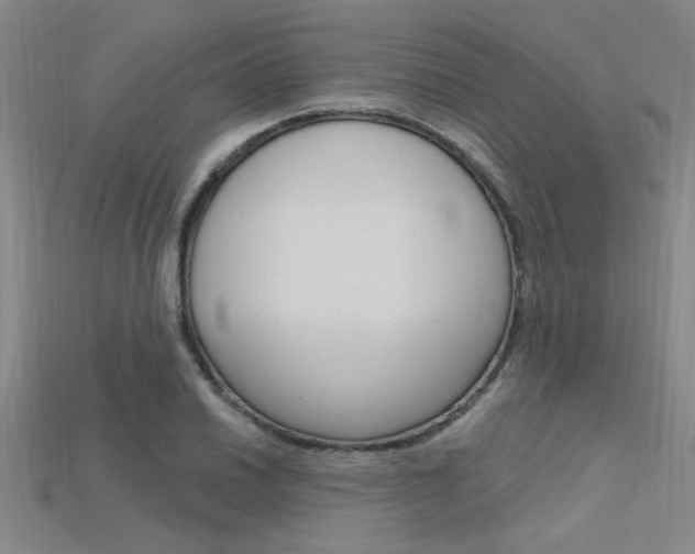 X0000115811030200911131038
