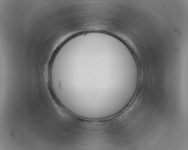 X0000115811031200911131038
