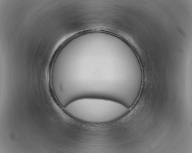 X0000115811032200911131038