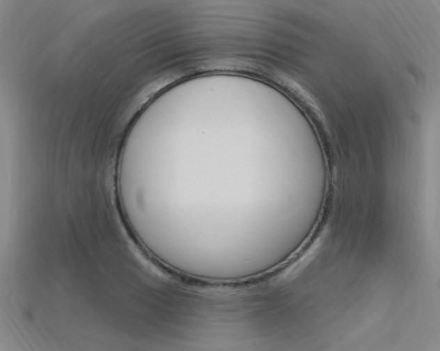 X0000115811033200911131038