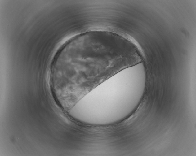 X0000115811035200911131038