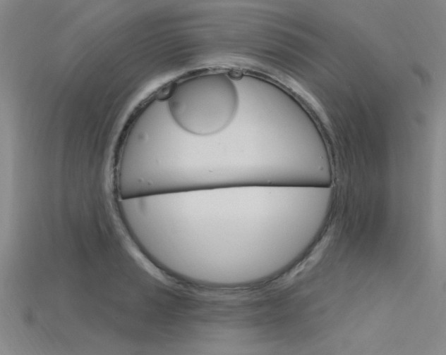 X0000115811037200911131038