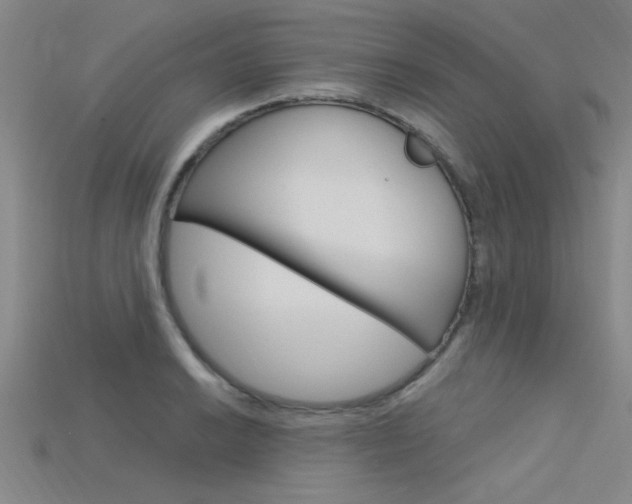 X0000115811038200911131038