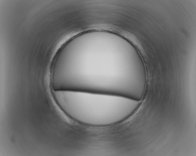 X0000115811040200911131038