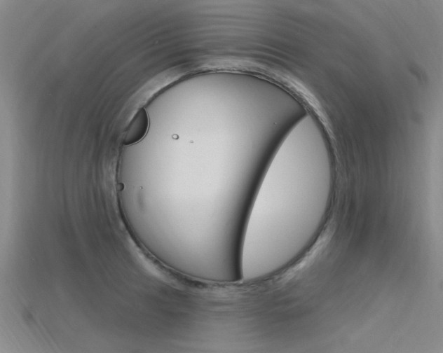 X0000115811041200911131038