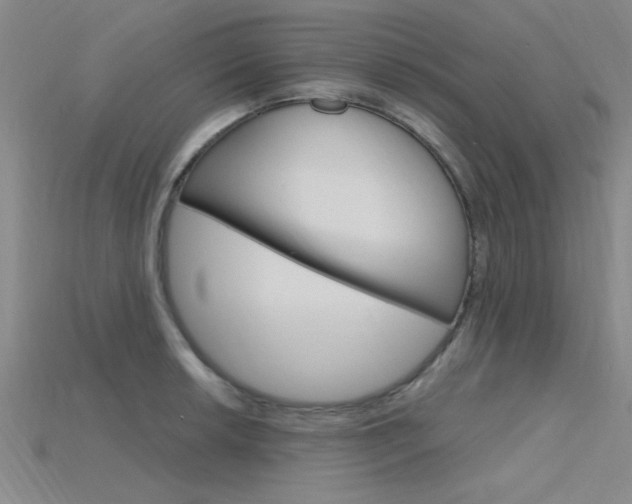 X0000115811042200911131038