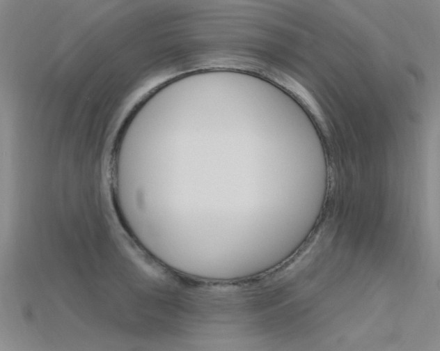 X0000115811043200911131038