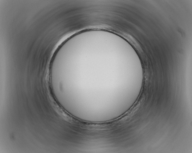 X0000115811044200911131038