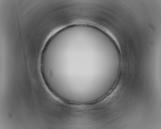 X0000115811045200911131038