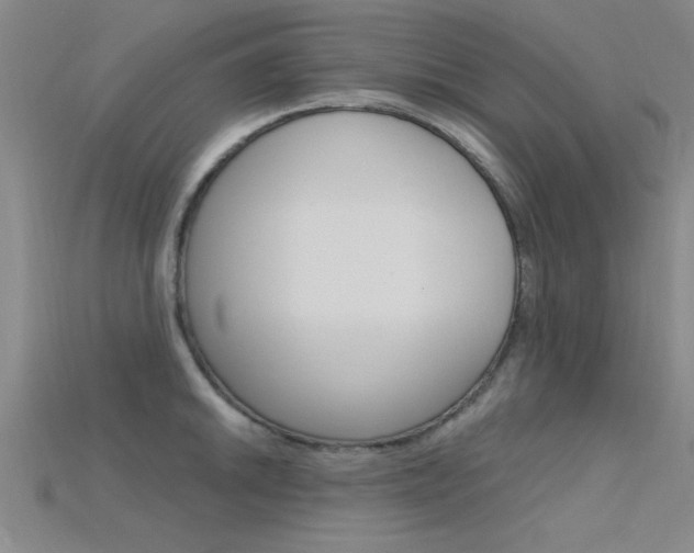 X0000115811046200911131038