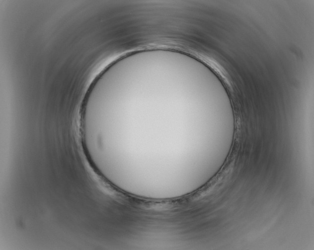 X0000115811047200911131038
