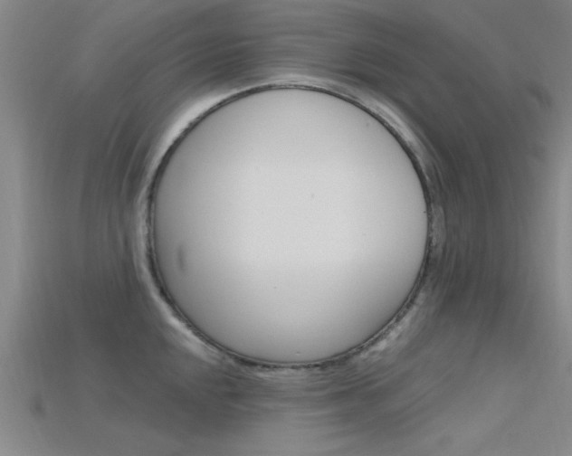 X0000115811048200911131038