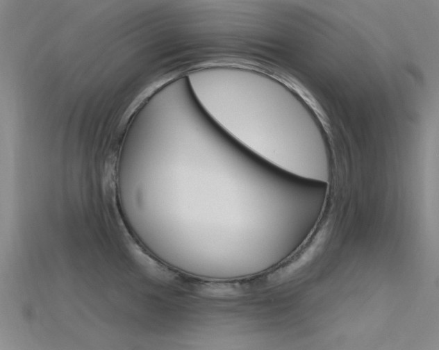 X0000115811049200911131038