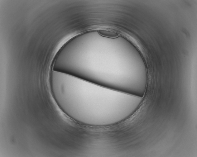 X0000115811050200911131038