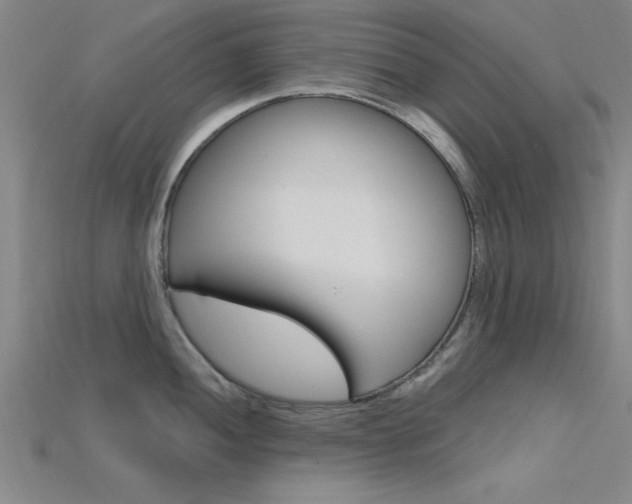 X0000115811052200911131038