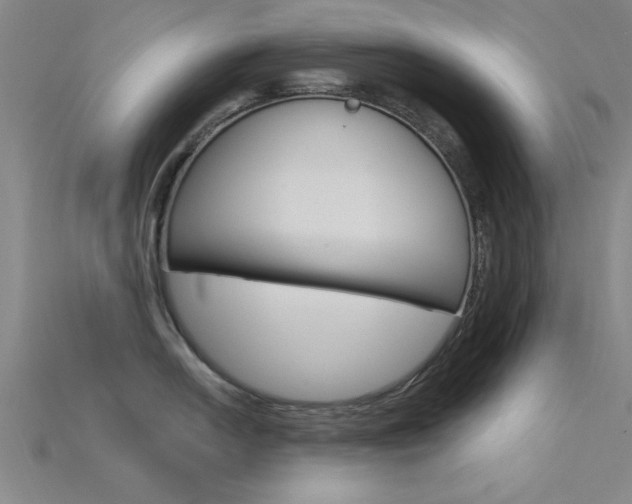 X0000115811054200911131038