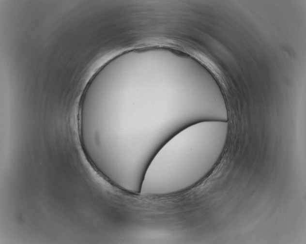 X0000115811055200911131038