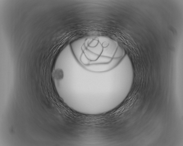 X0000115811057200911131038