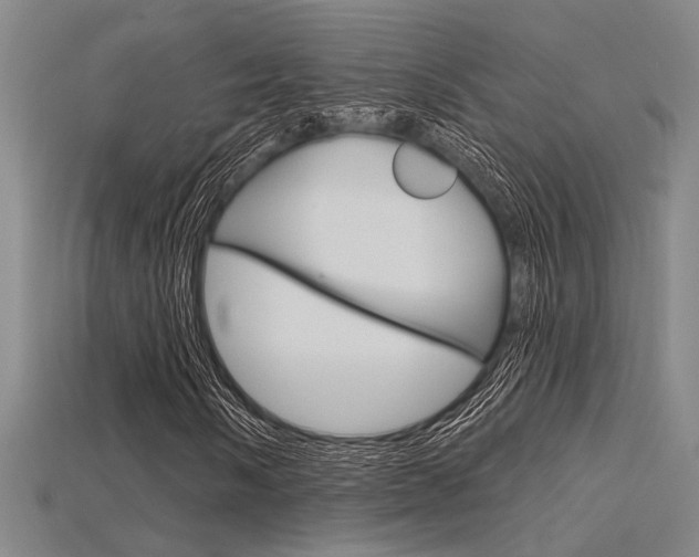 X0000115811058200911131038
