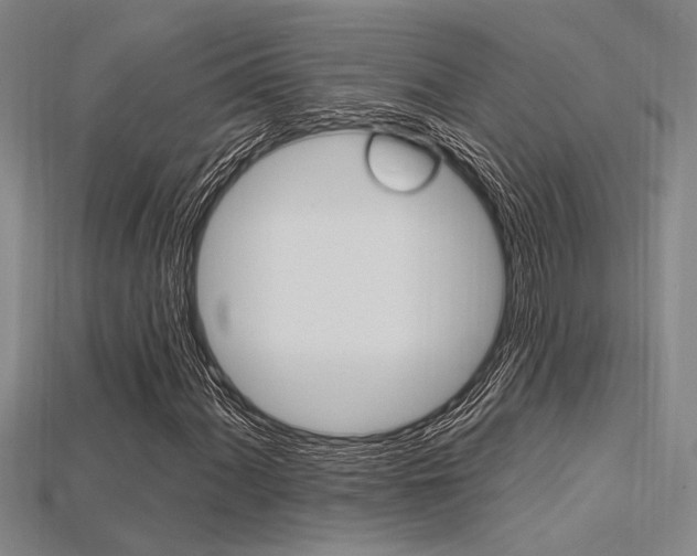 X0000115811060200911131038