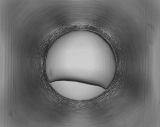 X0000115811062200911131038