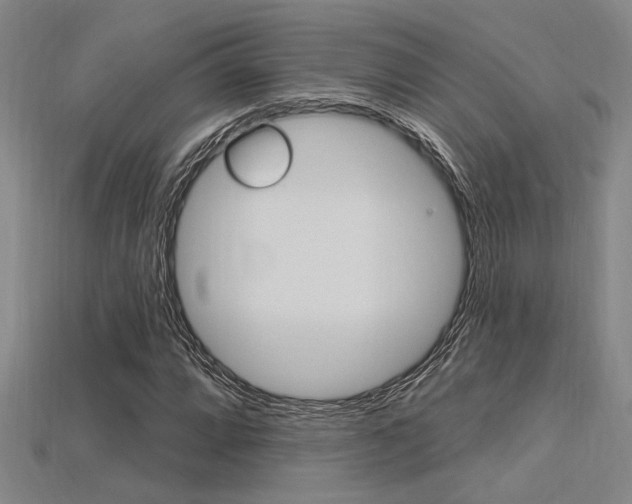 X0000115811064200911131038