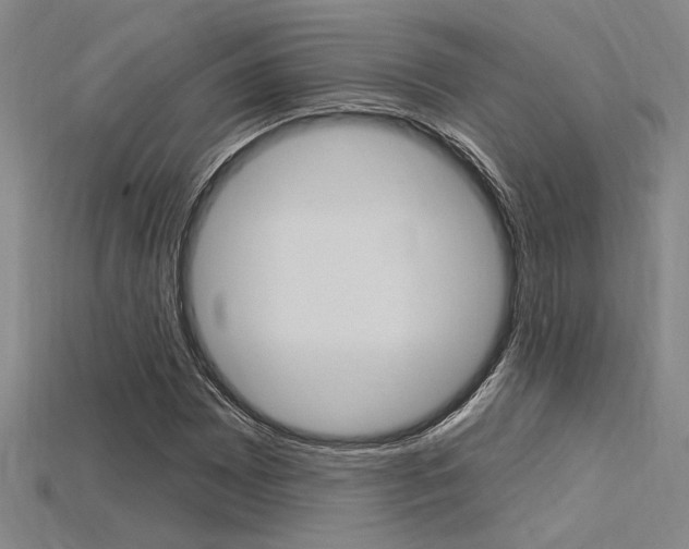 X0000115811065200911131038