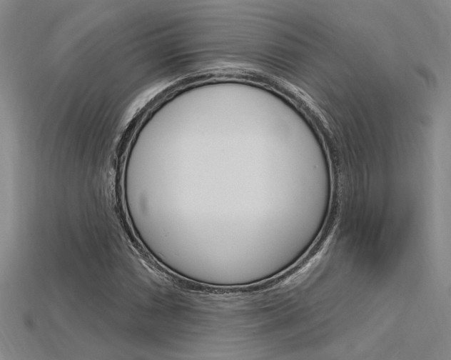 X0000115811066200911131038