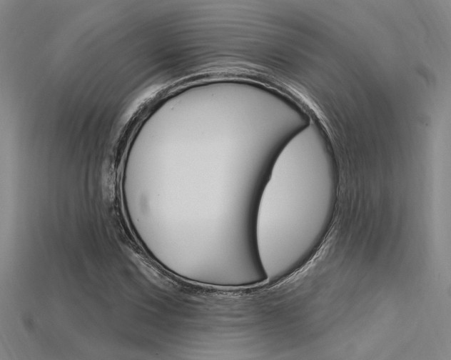X0000115811067200911131038