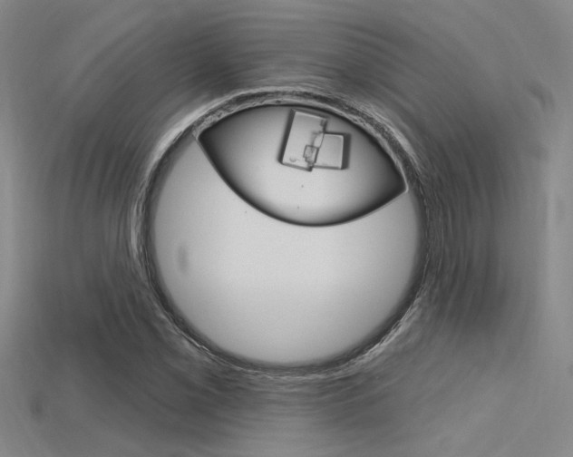 X0000115811069200911131038