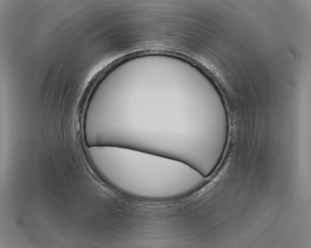 X0000115811070200911131038