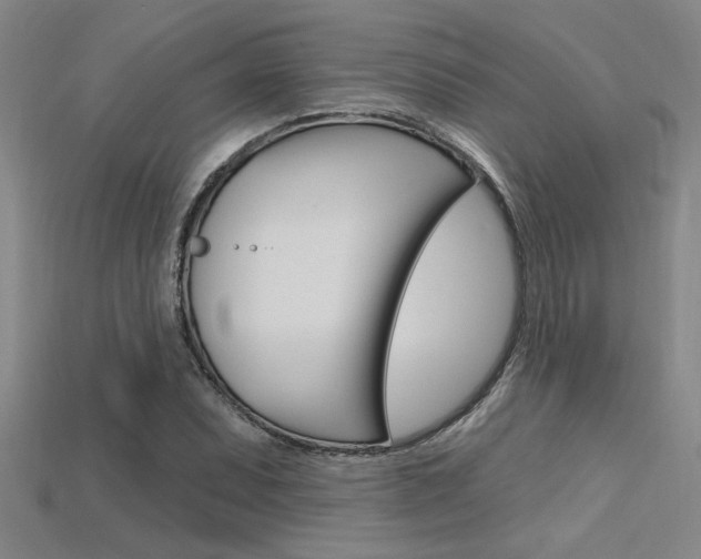 X0000115811071200911131038