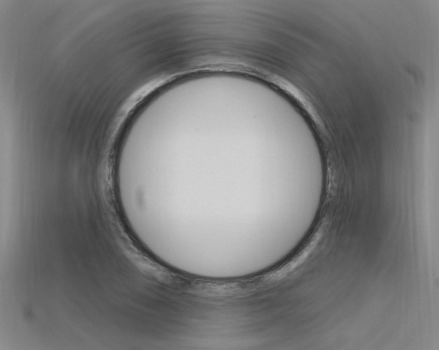 X0000115811074200911131038