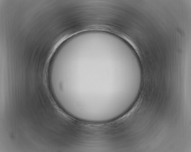 X0000115811075200911131037