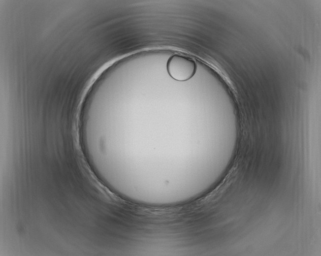 X0000115811076200911131037