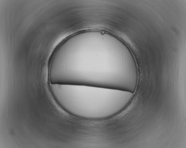 X0000115811079200911131037