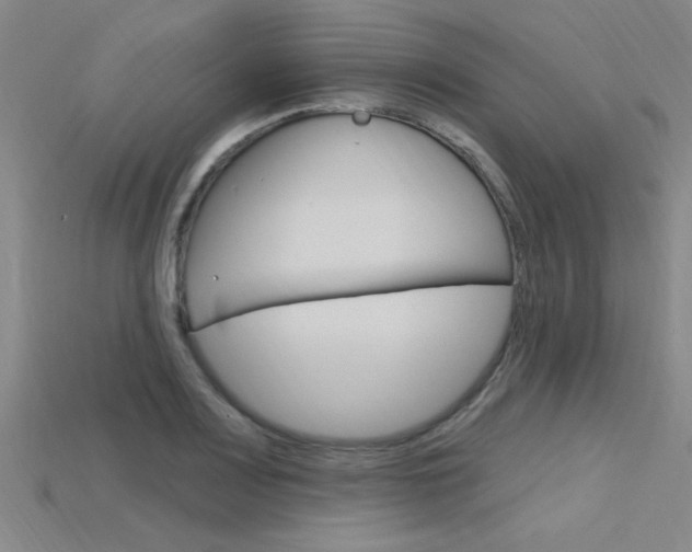 X0000115811083200911131037