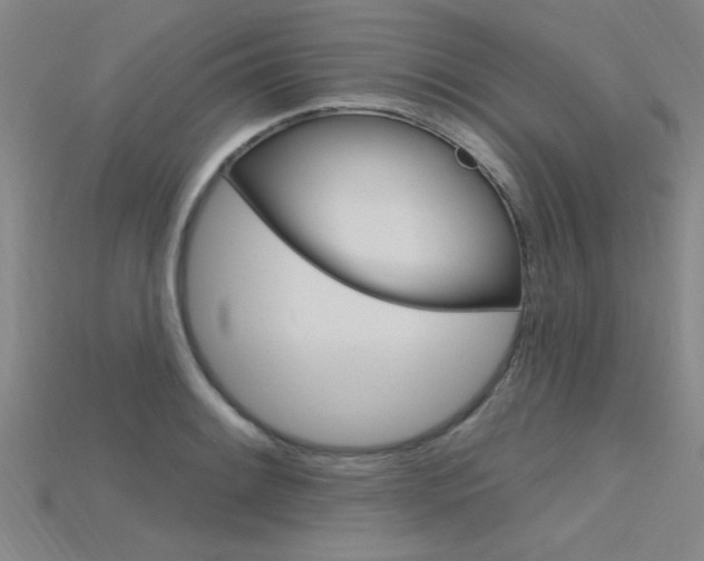X0000115811084200911131037