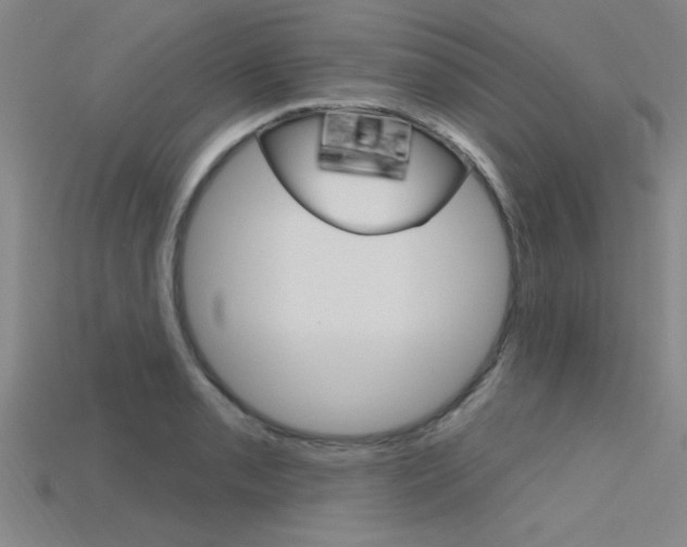 X0000115811085200911131037
