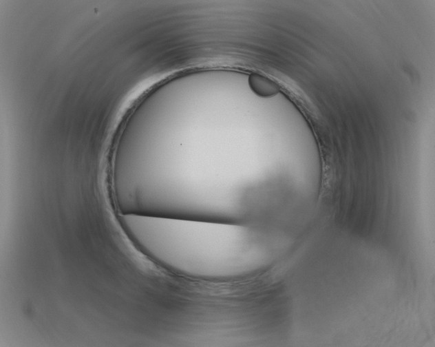 X0000115811086200911131037
