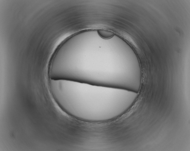 X0000115811087200911131037