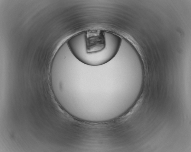 X0000115811089200911131037