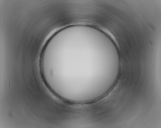 X0000115811091200911131037