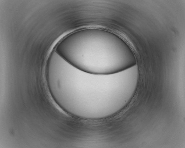 X0000115811092200911131037