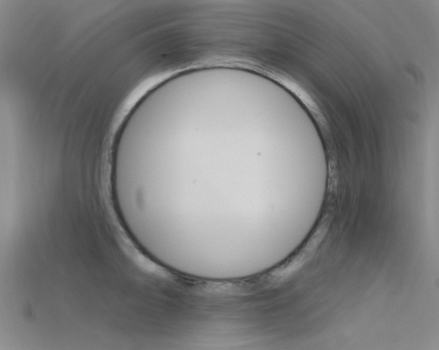 X0000115811094200911131037